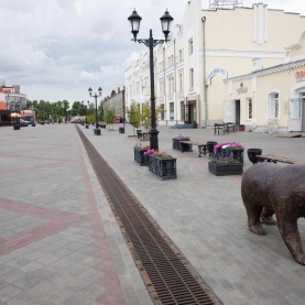Мало-Тобольская улица, Барнаул